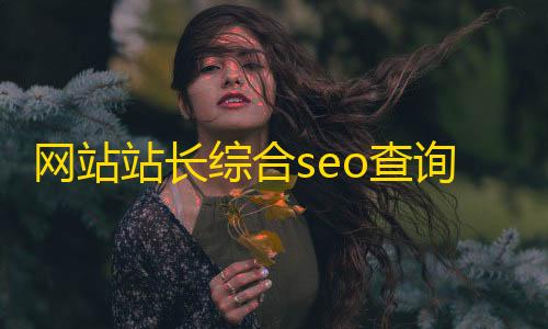 和平精英辅助安全吗网站站长综合seo查询工具网站源码